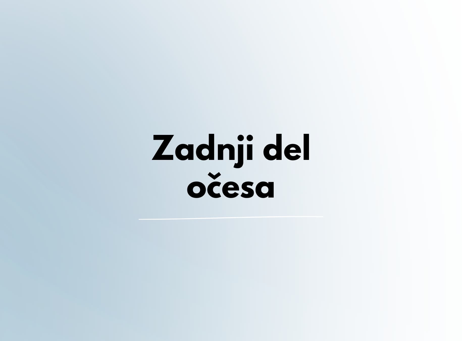 Zadnji del očesa