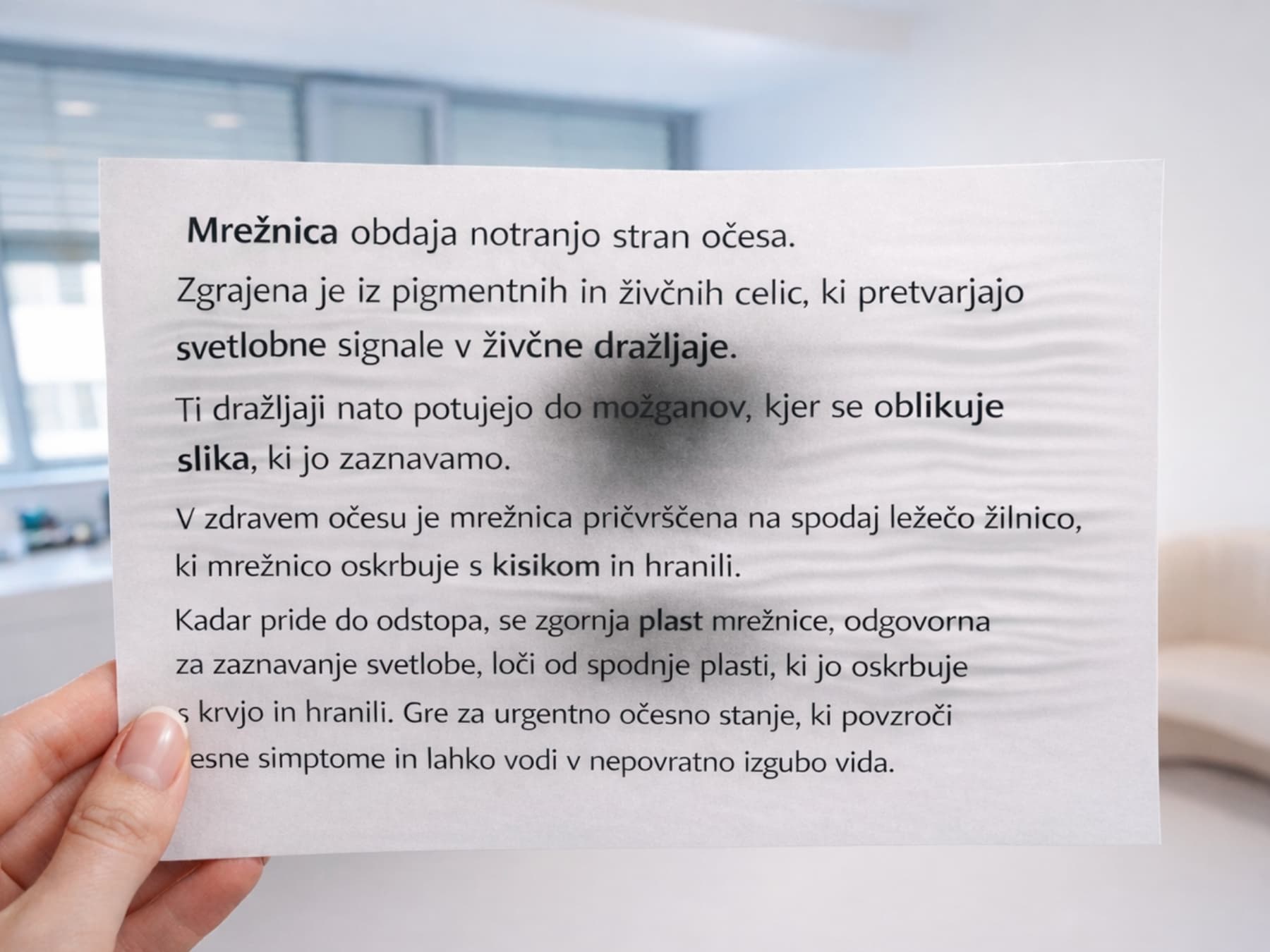 Ko se slika začne kriviti: tri tihe bolezni mrežnice, ki lahko ukradejo vid
