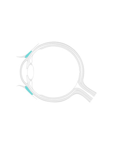 Shematski prikaz očesa